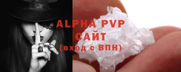 индика Белоозёрский