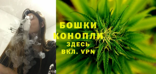 трава Балахна