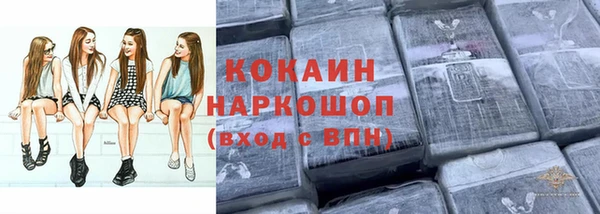 индика Белоозёрский