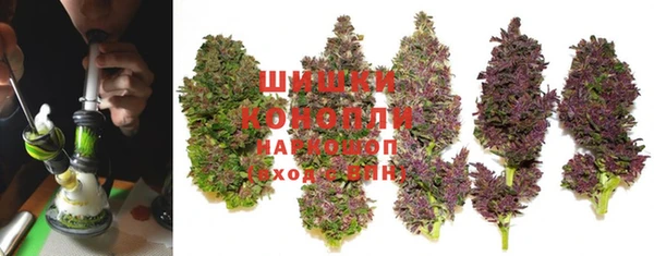 трава Балахна