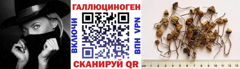 Псилоцибиновые грибы мухоморы  Богданович 